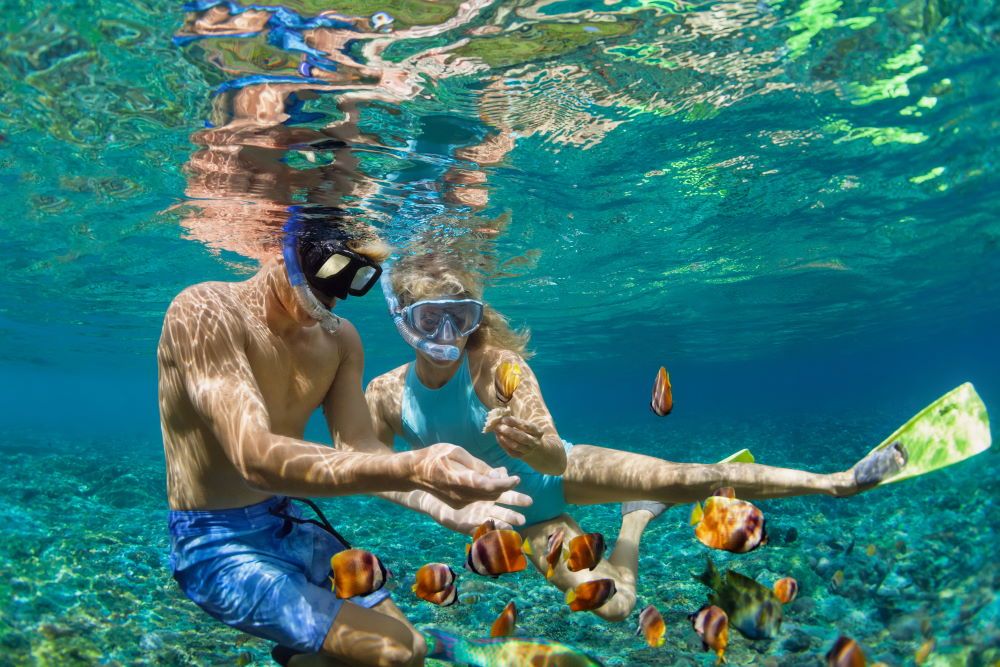 snorkling_v_sharm_el_sheihe.jpg